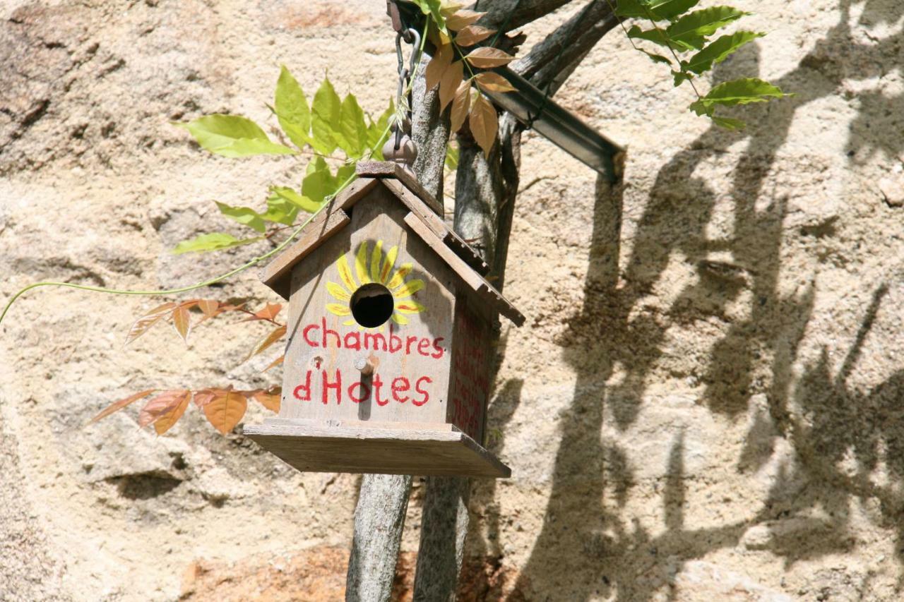 Domaine Les Teuilleres Bed and Breakfast Lacam-dʼOurcet Buitenkant foto